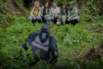 Uganda Safari, Gorillas, Chimpanzee and Wildlife